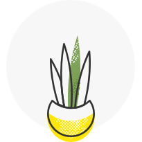 Garden Care